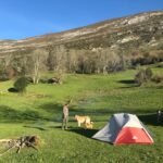 81r5vQJhJXL._SL1600_